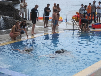 Underwater Nature Festival