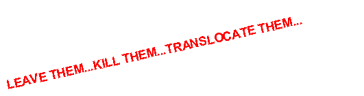 Text Box: LEAVE THEM...KILL THEM...TRANSLOCATE THEM...