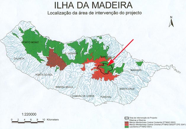 Conserva��o da Freira da Madeira atrav�s da recupera��o do seu Habitat